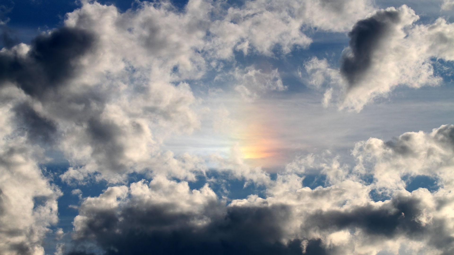 Milan Sports-世界滑板锦标赛中国选手获最佳新秀，世界滑板大赛冠军