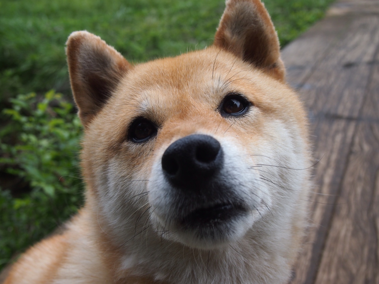 MILANSPORT入口-法甲VAR系统基于语义风险分类优化重点监控区域策略，意甲var使用规则