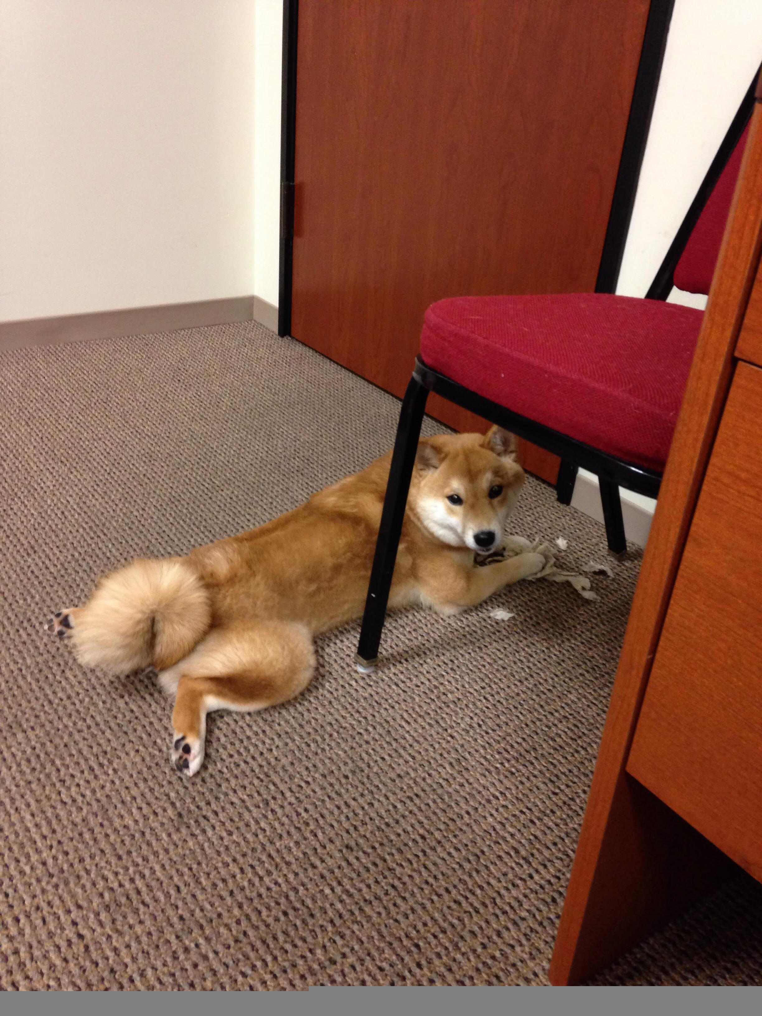 MILANSPORT下载-CBA联盟不断完善联赛体系，2020至2021年cba联赛规则