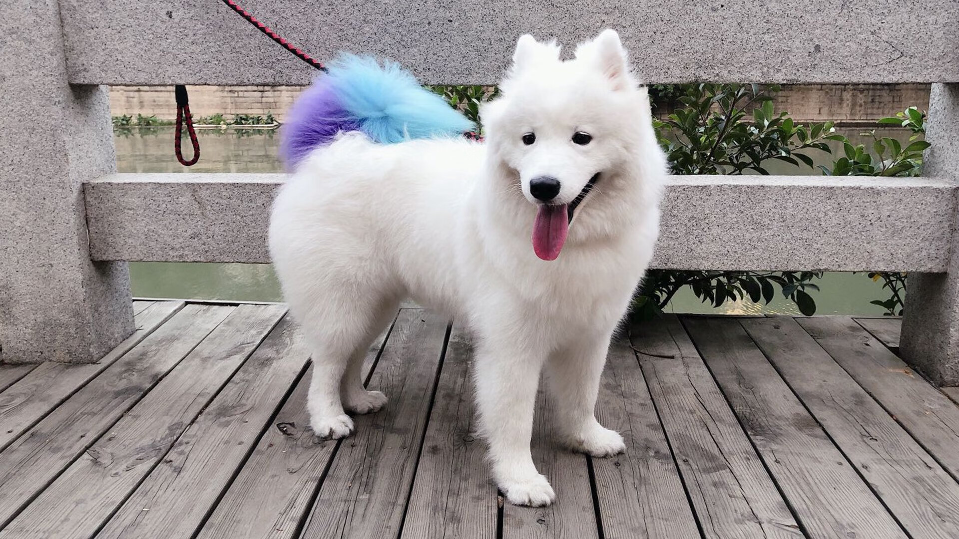 世界杯技术分析 中国青年队冲击成焦点,世界杯中国队进程