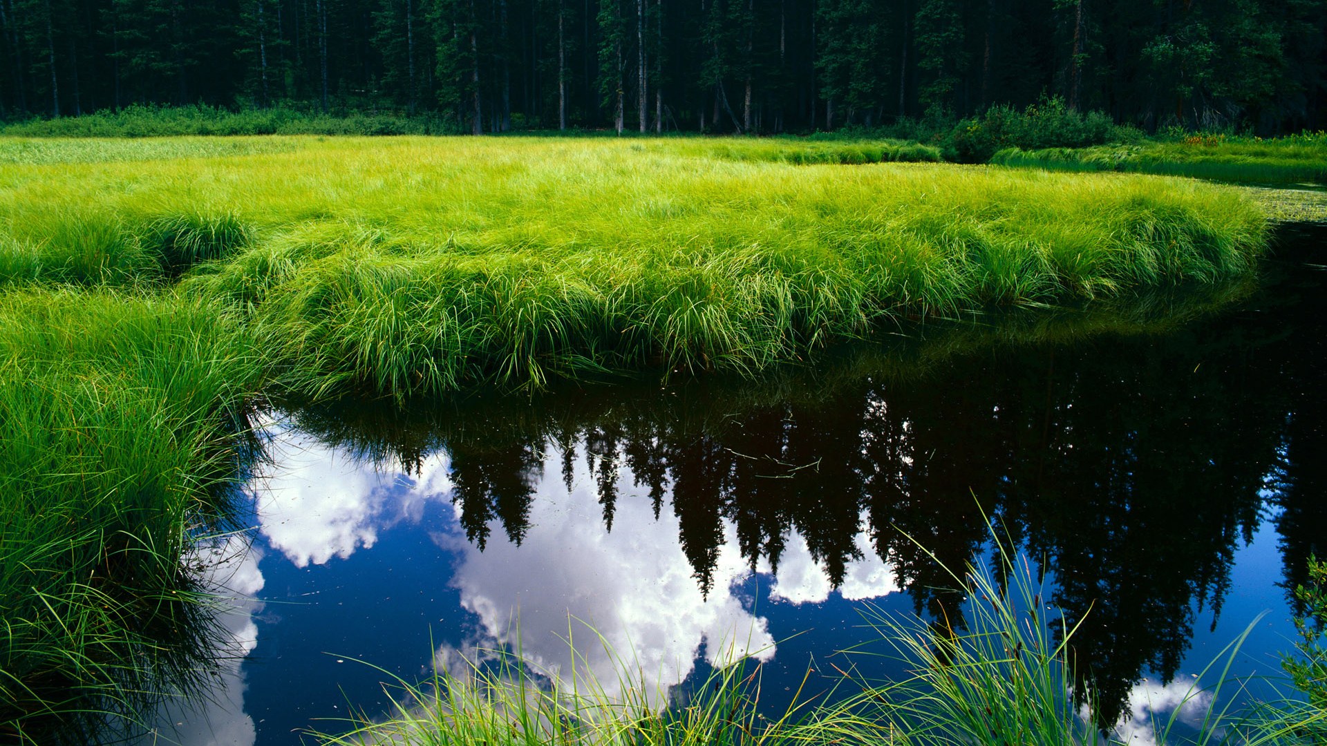 新疆男篮持续优化攻防体系强化转换效率,新疆男篮新疆男篮