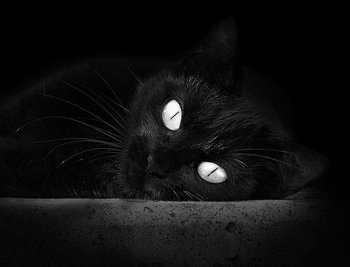 替补球员体能状态在多线作战中的再分配,球员替补是指允许一名球员退场