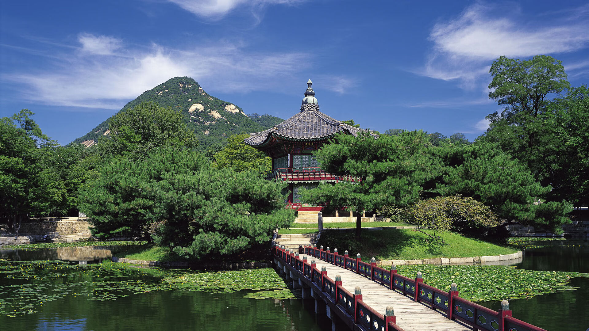 澳大利亚队未来发展规划:从青少年到职业选手的成长之路,澳大利亚队怎么样