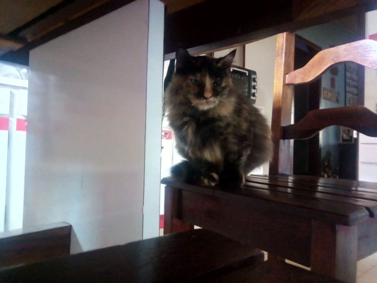 职业球员对规则细节理解差影响比赛决策,球队规矩