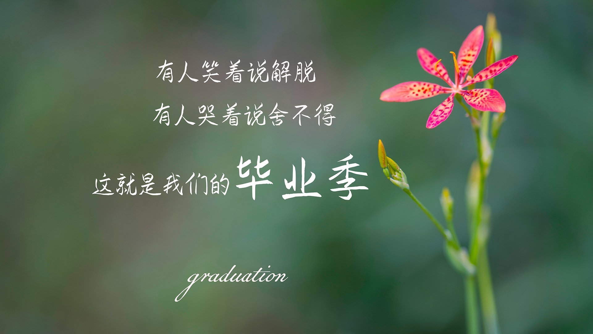 中国篮球试点人工智能评估系统优化球员测评，篮球技术网站