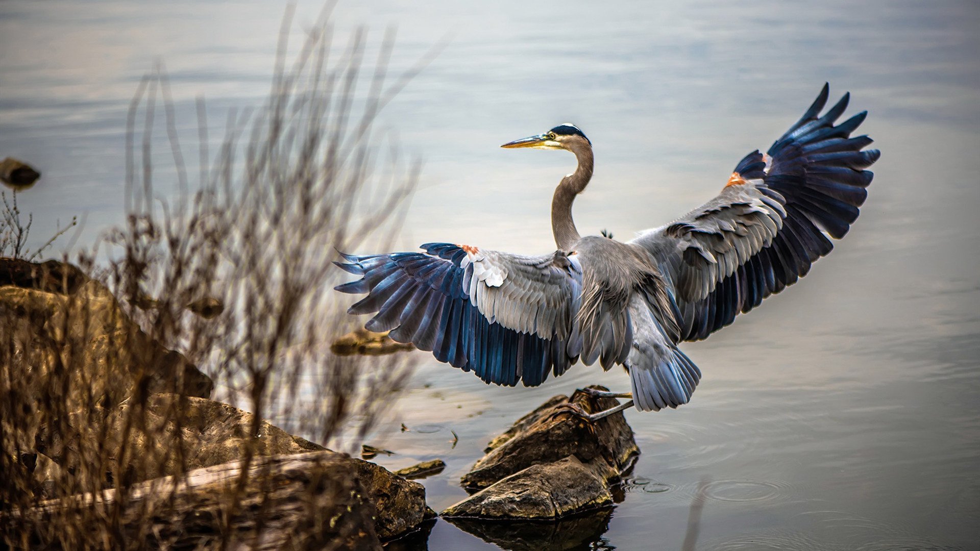 中国队赛后分享备赛经验，中国队比赛结束了吗