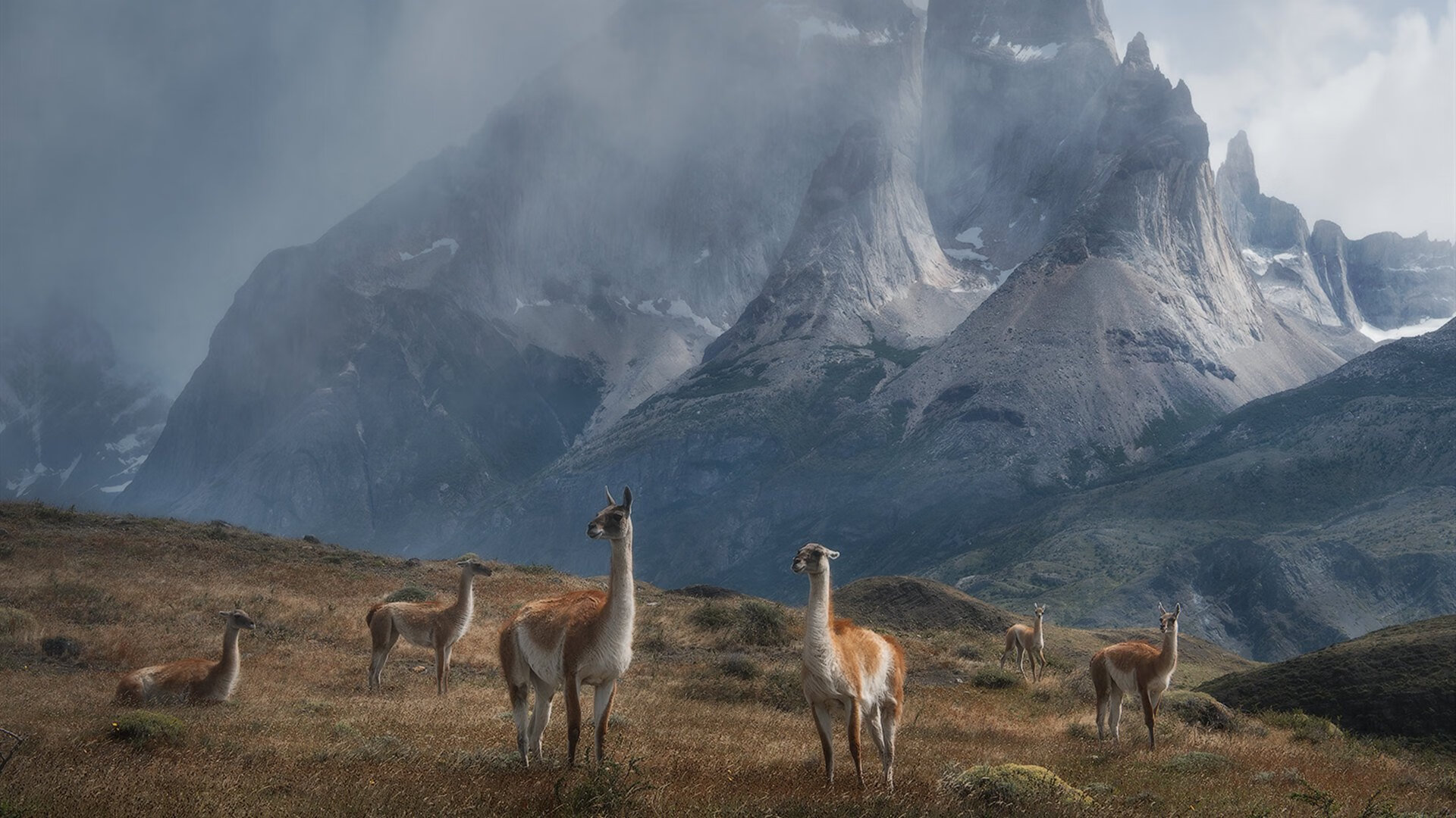 体育新闻中心发布场馆无障碍设施整改进度,无障碍设施改造工作总结