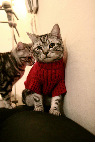 切尔西年轻门将展示惊人潜力