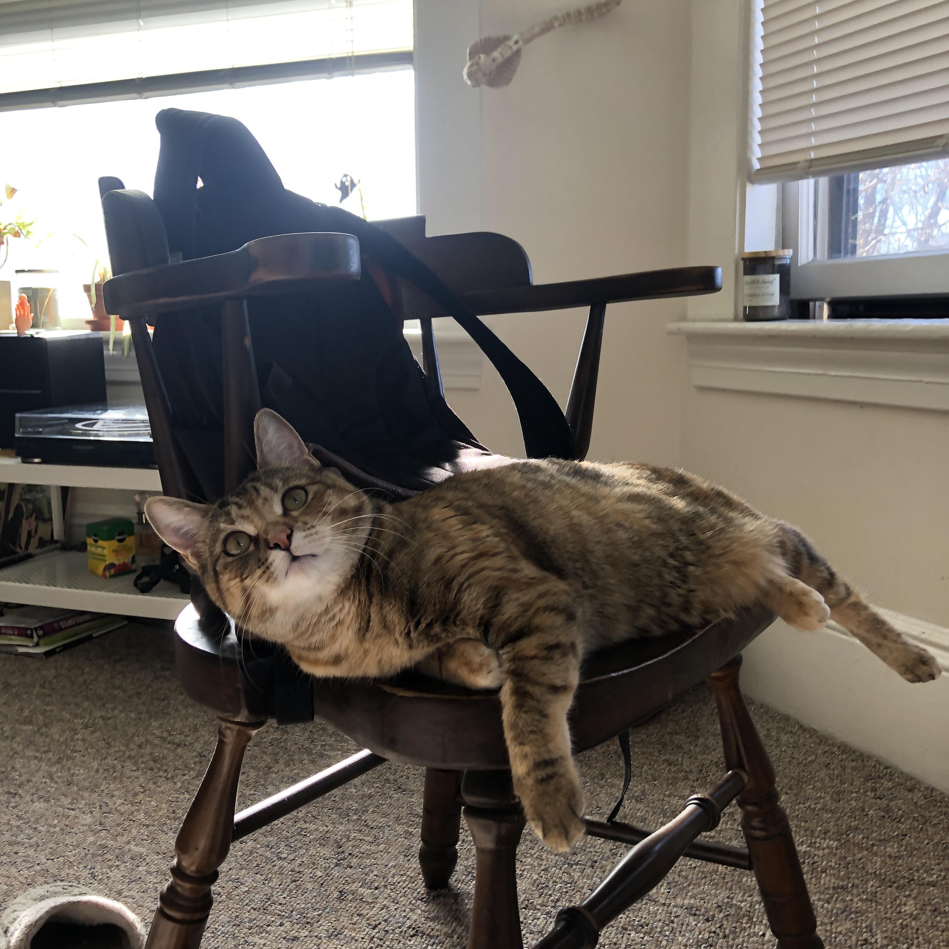 AC米兰-南非跳水动作细节打动评委，南非跳什么舞