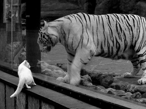 帕金斯表现引发观众热烈掌声,帕金斯表现引发观众热烈掌声的句子