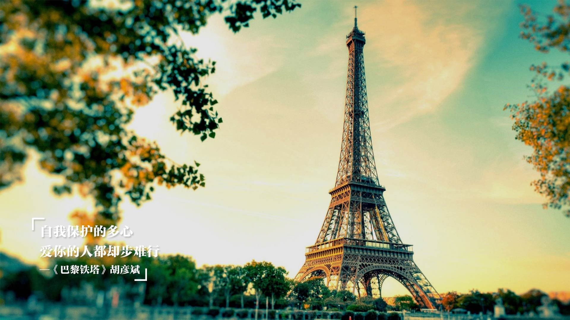 斯滕伯根决赛表现引发媒体关注,斯滕伯格的著作有哪些